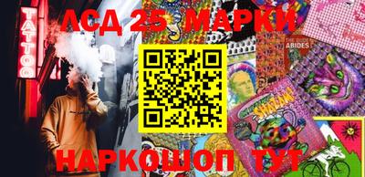 спиды Гатчина