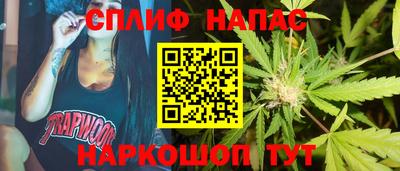 спиды Гатчина