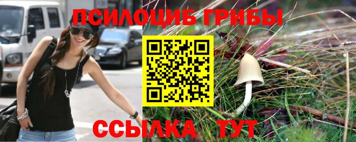 Мценск  Галлюциногенные грибы GOLDEN TEACHER  где купить наркотик  Псилоцибиновые грибы MAGIC MUSHROOMS  Вход с VPN 